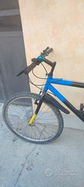 bicicletta per ragazzi 13/14 anni 