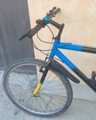 bicicletta per ragazzi 13/14 anni 