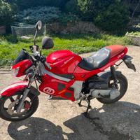 Gilera Piaggio dna