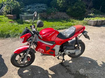Gilera Piaggio dna