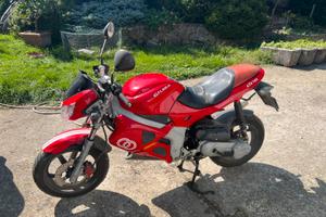 Gilera Piaggio dna