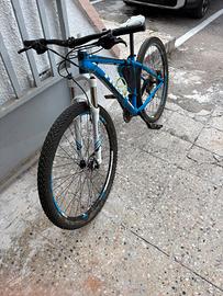 MTB  TREK