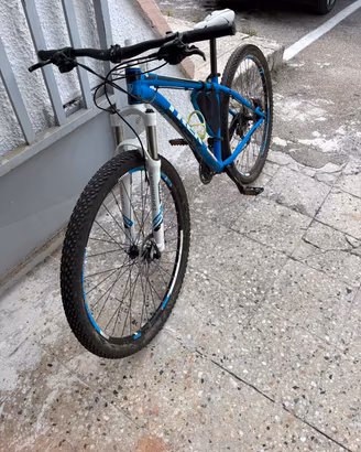 MTB  TREK