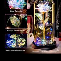 Luce notturna rosa eterna