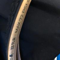 Vittoria Dugast cx