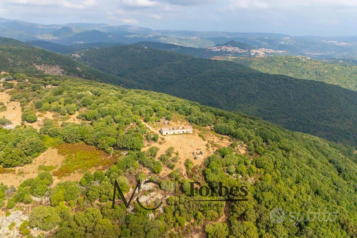 Luogosanto - Terreno di 41 ettari con stazzo gallu - Vista 5