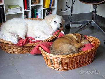 Cucce per cani in vimini