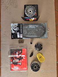Variatore malossi cinghia + puleggia Sr gt 125 200