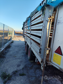 Biga trasporto maiali