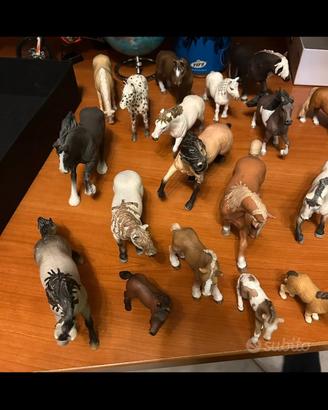 CAVALLI SCHLEICH