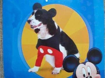 costume per cane Disney Topolino