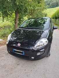 FIAT Punto 1.2 8V 5p Street benzina