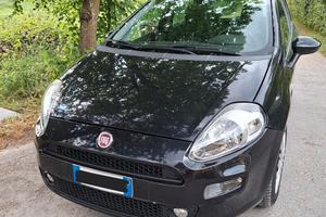 FIAT Punto 1.2 8V 5p Street benzina