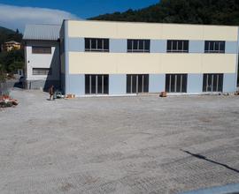Capannone produttivo/commerciale