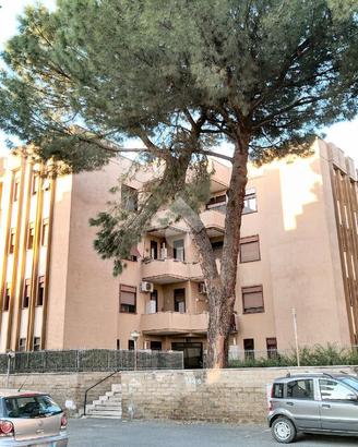 MONOLOCALE A CIAMPINO