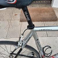 colnago 