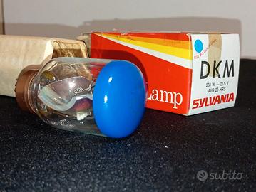 Lampadina di protezione vintage