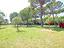 Immagine 10