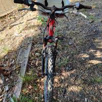Mountain-bike