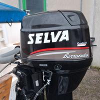 motore fuoribordo 4 tempi 