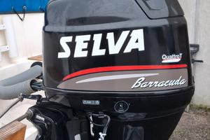 motore fuoribordo 4 tempi 