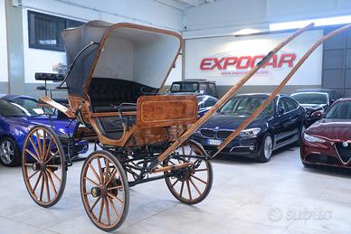 Carrozza cavalli singolo/pariglia Dottorina NUOVA