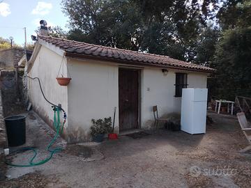 Terreno con ricovero attrezzi