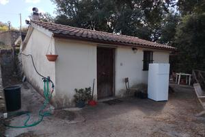 Terreno con ricovero attrezzi
