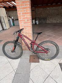 Trek remedy 7