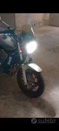 Honda Hornet 900