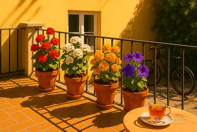 Quadrilocale centro storico zona università