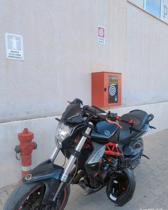 BENELLI BN 302S 2016