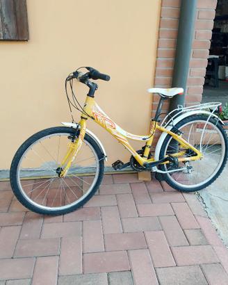 Bicicletta