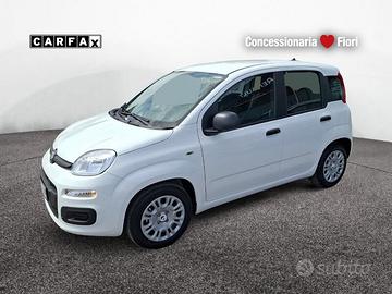 FIAT Pandina HYBRID 1.0 65cv Hybrid Icon