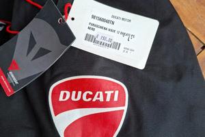 Paraschiena Ducati/Dainese