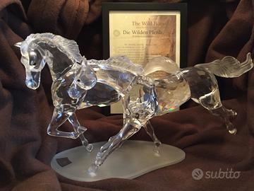 Cavalli Selvaggi edizione limitata 2001