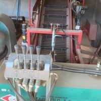 Scavaraccoglipatate Carlotti green 650