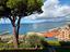 Immagine 7
