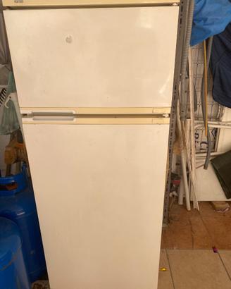 Frigo ignis