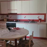 cucina Gicinque pari al nuovo 