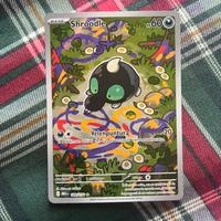 Shroodle Illustrazione Rara