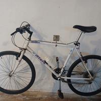 Bicicletta mountan bike