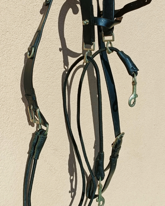 Cavallo