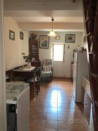 Castel San Pietro Romano appartamento