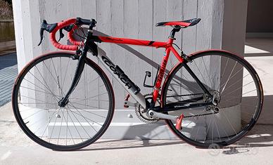 Bicicletta da corsa Primula Coach 