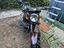Immagine 2