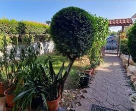 Villetta a schiera 280mq a Mascali