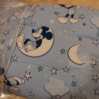 TRAPUNTA INVERNALE PER LETTINO