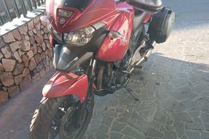 Yamaha TDM 900 - 2004