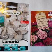 sementi di Garofano e Lunaria 